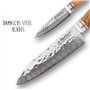 Wusaki Damas 10Cr Coffret de 2 couteaux de cuisine : santoku + couteau d'office - Lames damassées et manches en bois d'olivier
