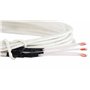 3D FREUNDE 3 pcs. Sonde de température à thermistance NTC3950 100k? pour extrudeuse ou lit d'impression chauffant avec isolation