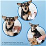 Lingettes de toilettage pour chiens et chats (paquet de 100) by Best Pet Supplies - senteurs naturelles pour les peaux sèches ou