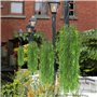 HUAESIN 2pcs Lierre Artificiel Guirlande 94cm Plante Artificielle Exterieur Fausse Plante Grimpante Vert Decoration pour Jardin