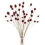 HUAESIN 30 Tiges Fleurs Séchées Naturelles Fleurs de Craspedia Séchées Billy Button Balles Bouquet Floral pour Mariage Noël Hive