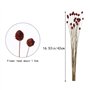 HUAESIN 30 Tiges Fleurs Séchées Naturelles Fleurs de Craspedia Séchées Billy Button Balles Bouquet Floral pour Mariage Noël Hive