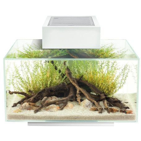Fluval 15035 Edge 2.0 Kit Aquarium 23 l