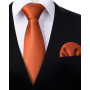 Enlision Cravate Homme Ensemble de Cravate et Pochette de Couleur Unie Mariage Cravate et Mouchoir Set Travail Fete Cadeau pour 