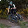 Schwalbe Wicked Will Evo Folding Tyre, 62-622 (29 x 2.40 inches) Super Ground