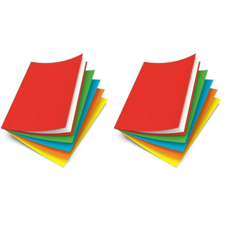 Oxford Lot de 100 Sous-Chemises 22 x 31 cm Papier 80 g Coloris Assortis