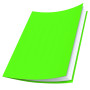 Oxford Lot de 100 Sous-Chemises 22 x 31 cm Papier 80 g Coloris Assortis