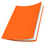Oxford Lot de 100 Sous-Chemises 22 x 31 cm Papier 80 g Coloris Assortis