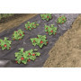 Film de paillage spécial fraises - 1,40x10m 31,08 €