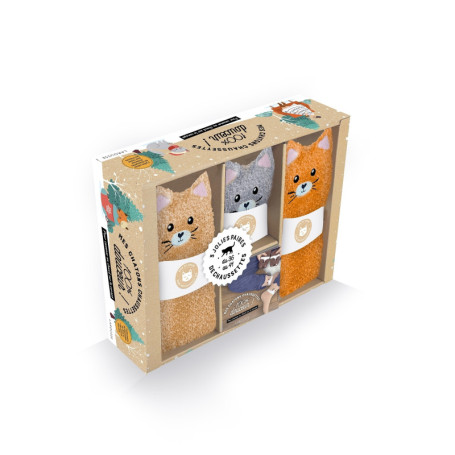 Coffret Mes chatons- chaussettes