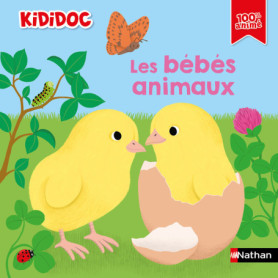 Les bébés animaux Les bébés animaux