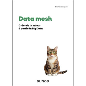 Data mesh Data mesh