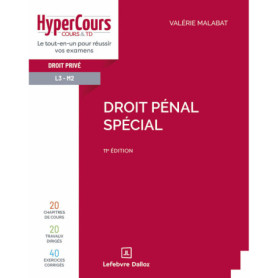 Droit pénal spécial. 11e éd. Droit pénal spécial. 11e éd.