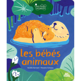 Bébés animaux Bébés animaux