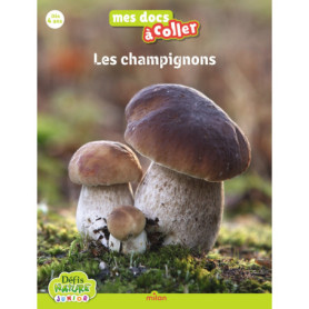 Bioviva - Les champignons Bioviva - Les champignons