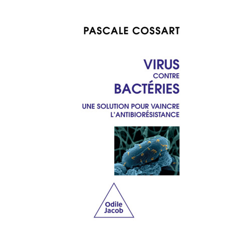 Virus contre bactéries