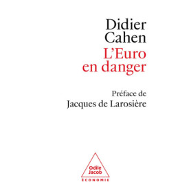 L'Euro en danger L'Euro en danger