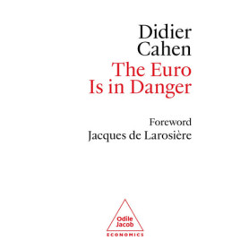 The Euro is in Danger The Euro is in Danger