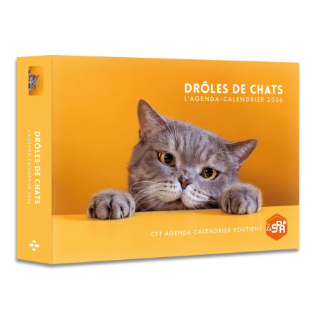 Agenda - Calendrier Drôles de chats 2026