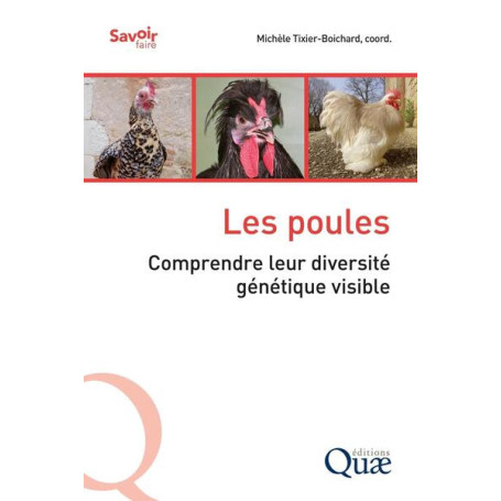Les poules