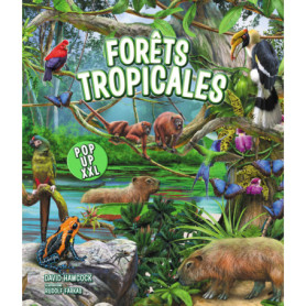 Forêts tropicales - Pop-up XXL Forêts tropicales - Pop-up XXL