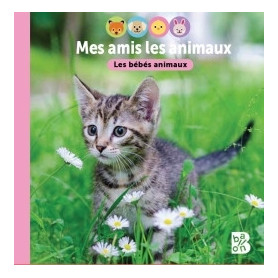 Les bébés animaux Les bébés animaux