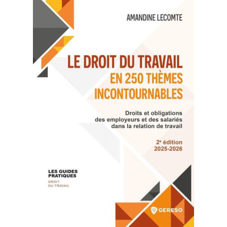 Le droit du travail en 250 thèmes incontournables