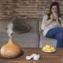 Cecotec Humidificateur Ultrasonique Pure Aroma 300 Yang. 300 ml, Diffuseur d’arôme, Minuterie 10 heures, 7 couleurs LED, Aromath
