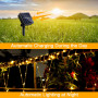 Solaire Corde Lumineuse, 12m 100LEDs Lumineuses Solaires D'extérieur, Solarlicht Dekoration Rope Guirlandes Lumineuses Étanche a