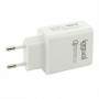 Chargeur mural iggual IGG317174 15,99 €