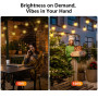 GLUROO Guirlande Lumineuse Exterieure Dimmable 45M, Guirlande Guinguette Exterieur avec Télécommande, 75+2 G40 Ampoules Incassab