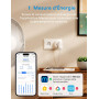 Meross Prise Connectée Matter (Type E), 16A Prise WiFi Compatible avec Apple HomeKit, Alexa, Google Home et Home Assistant, Mesu