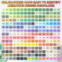 Gunsamg Lot de 240 Couleurs Marqueurs de Peinture Acrylique à Base D'Eau Avec Pointe Pinceau Flexible de 1 à 5 Mm pour Peinture 
