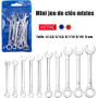 Treki 10PCS Mini Clés Mixtes Cle Plate a Cliquet Métriques 4mm-11mm Clés à Cliquet Articulées Clés Mixtes Portables Cliquet en A