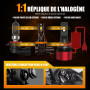 WAIXINGREN Ampoule H11 LED 36000LM, 120W, 6500K Lumière Blanche, Remplacement pour Halogènes, 1:1 Taille Halogène, Plug and Play