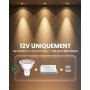 DoRight AC/DC 12V Ampoules LED GU10 7W, MR16 Ampoule Spot LED 3000K Blanc Chaud 7W 650LM Equivalent Ampoule Halogène 65W Non-Dim