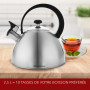 FLORINA - Bouilloire Inox (2,5 l) I Bouilloire Sifflante BRILLO I Poignée Résistante à la Chaleur I Bouilloire non Electrique I 