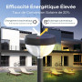 Linkind Lampes Solaires de Jardin, 3000K Blanc Chaud, Lampes Solaires d'Extérieur avec Détecteur de Lumière, 3 Modes d'Éclairage