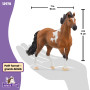 Schleich 13978 Étalon Mangalarga marchador, dès 5 Ans, Horse Club - Figurine, 4 x 18 x 11 cm