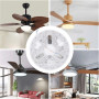 SENECESLI Panneau de Remplacement de Lumière de Ventilateur de Plafond 15W, 5,3 en Kit d'éclairage LED, 3cct 3000K 4200K 6500K, 