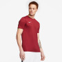 Nike Park Vii Jersey Ss T-Shirt Homme