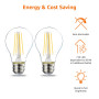 Amazon Basics Lot de 2 ampoules LED Culot Edison à vis E27 7 W (équivalent 60 W) Filament transparent Intensité non variable, bl