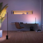 Philips Hue White and Color ambiance Lampe à poser Gradient Signe