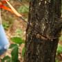 Portatif Tronçonneuse Scie à Main, Câble Scie pour la Survie Gear, Le Camping, la Chasse, Acier Lame Bidirectionnelle, Facile po