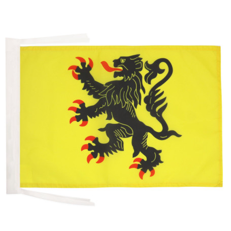 AZ FLAG - Drapeau Nord-Pas-de-Calais - 45x30 cm - Pavillon Province Flandre Française 100% Polyester Avec Deux Cordelettes - 20g
