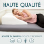 Dreamzie Coussin Élévateur de Jambes Coussin Thérapeutique Repose Jambe Mémoire de Forme - Douleur de Dos, Genoux, Post Opératoi