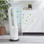 Sichler Haushaltsgeräte Ventilateur connecté sans pale VT-400.app avec purificateur d’air