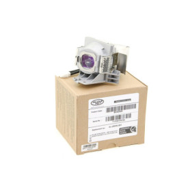 Alda PQ Professional, Lampe de projecteur Compatible avec BENQ W2000 Projecteurs