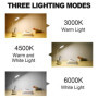 URAQT Lampe de Bureau de Porte-stylo, Tactile Lampe de Bureau à LED Dimmable avec 3 Modes D'éclairage & 24 LED, Protection des Y