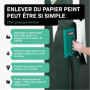 VONROC Décolleuse Papier Peint 2000 W - Réservoir 4,5L, Tuyau 3,5M Inclus - Indicateur Niveau d'Eau, Petite Plaque à Vapeur - De
